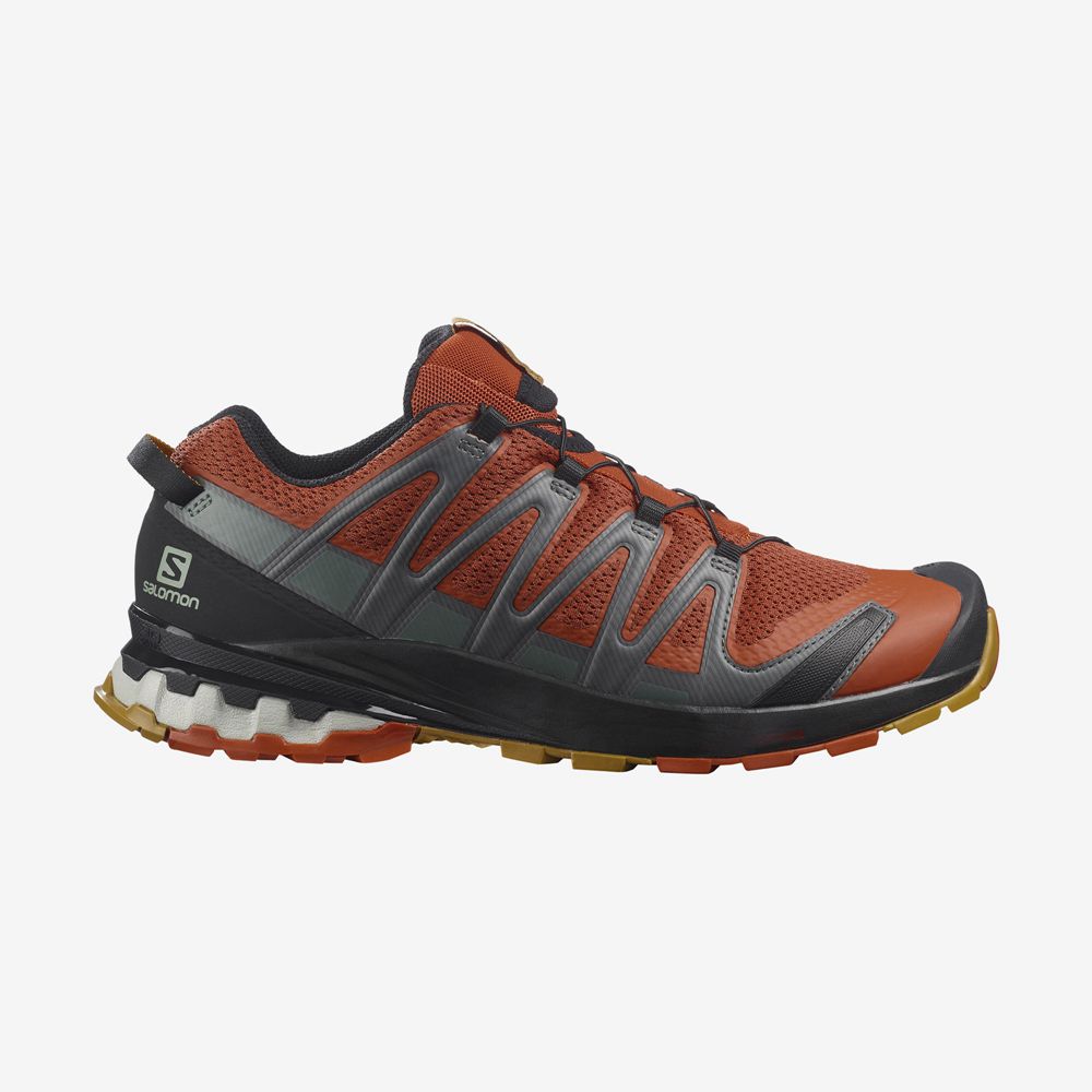 Chaussures De Trail Running Salomon Homme Orange - Salomon XA PRO 3D V8 - France (8416-LVTQM)